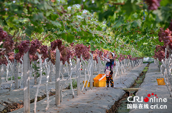 图片默认标题_fororder_1