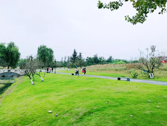 图片默认标题_fororder_未标题-2