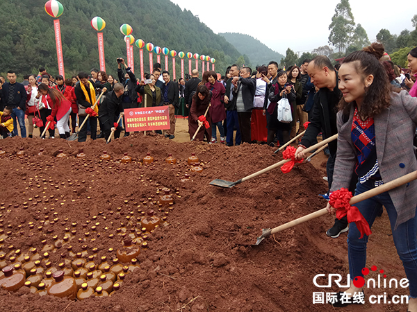 图片默认标题_fororder_游客及市民体验“种酒”（摄影-杨建昆）