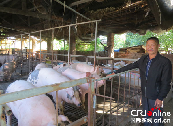 图片默认标题_fororder_1