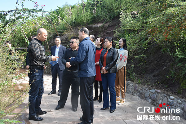 图片默认标题_fororder_1