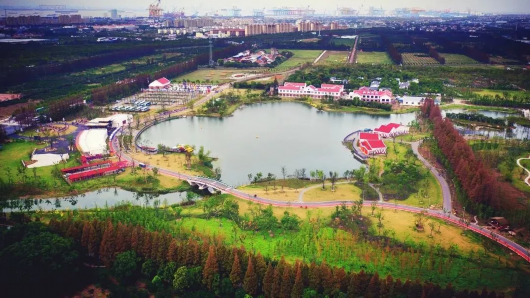 上海超大郊野公园的游玩指南 周末就约崇明长兴岛