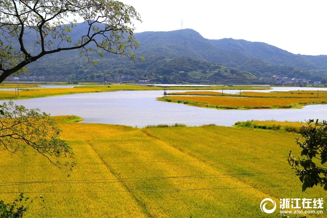 图片默认标题_fororder_wenling1