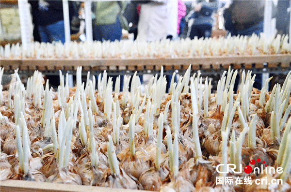 图片默认标题_fororder_2