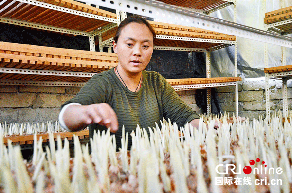 图片默认标题_fororder_3