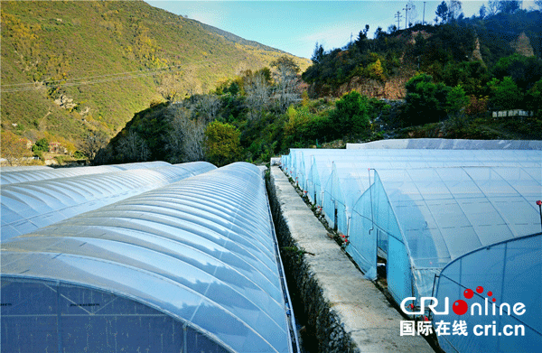 图片默认标题_fororder_1