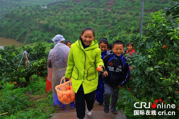 图片默认标题_fororder_1