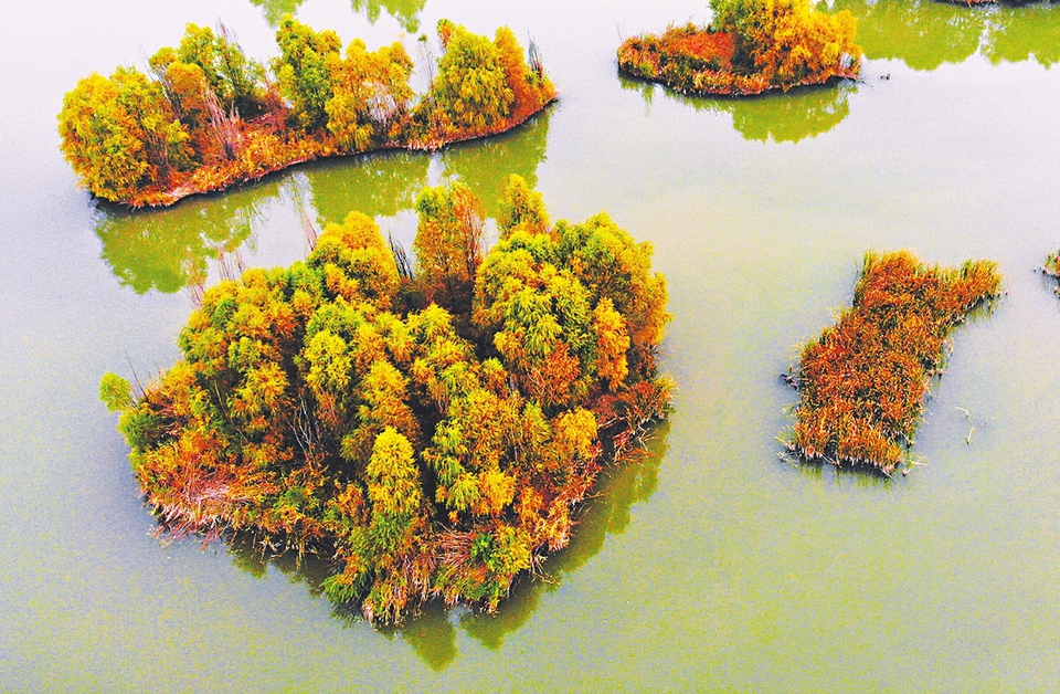 图片默认标题 图片默认标题_fororder_3