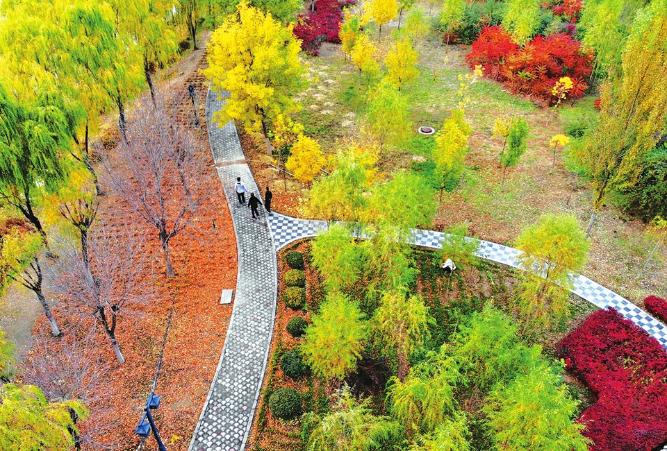 图片默认标题 图片默认标题_fororder_2