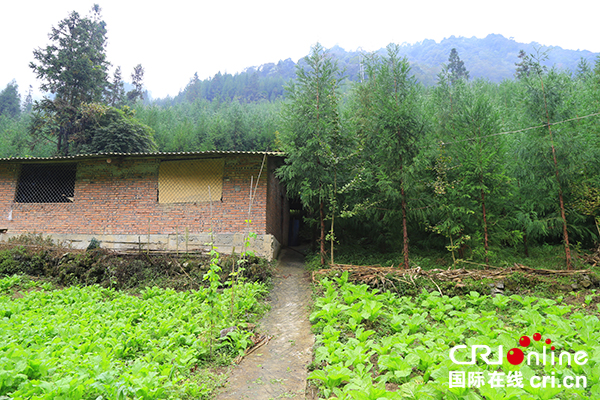 图片默认标题_fororder_鸡舍（摄影：葛旺）