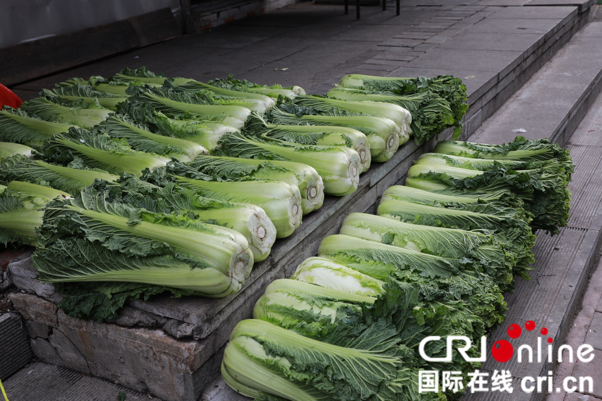 “酸菜教授”提醒:腌酸菜加西红柿鲜脆又营养 “酸菜教授”提醒:腌酸菜加西红柿鲜脆又营养