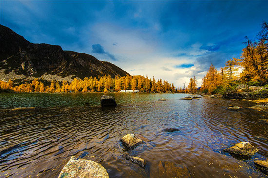 图片默认标题_fororder_1