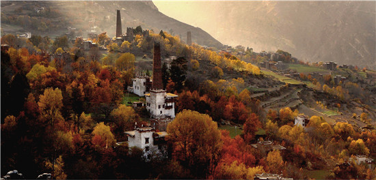 图片默认标题_fororder_2