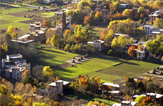 图片默认标题_fororder_3