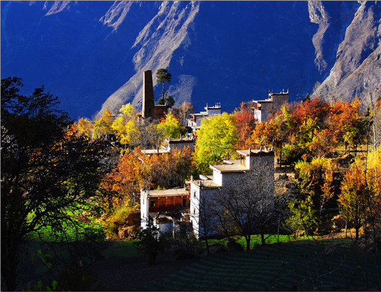 图片默认标题_fororder_4