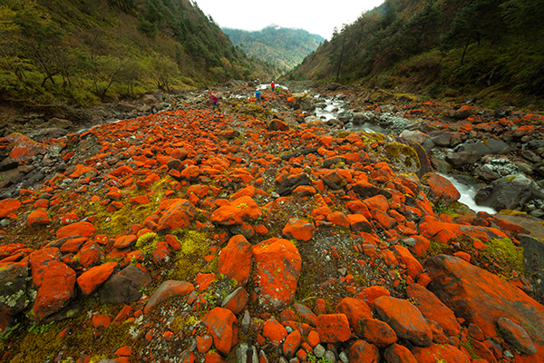 国际在线四川频道从雅安市天全县委宣传部获悉,2018四川红叶生态旅游