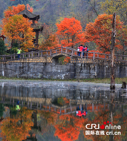 图片默认标题_fororder_喇叭河秋色（摄影：韩斌）