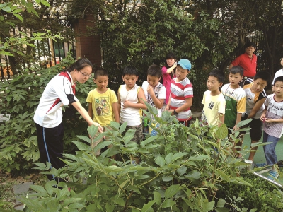 上海中小学 家家都有本“传统文化经”