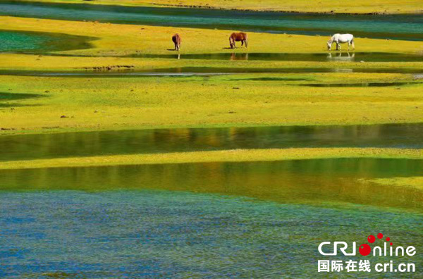 图片默认标题_fororder_5、甘孜州绝美风光