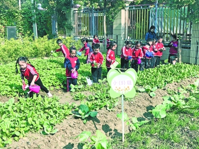 幼儿园里开设“农耕”必修课 让孩子在劳作中懂得道理