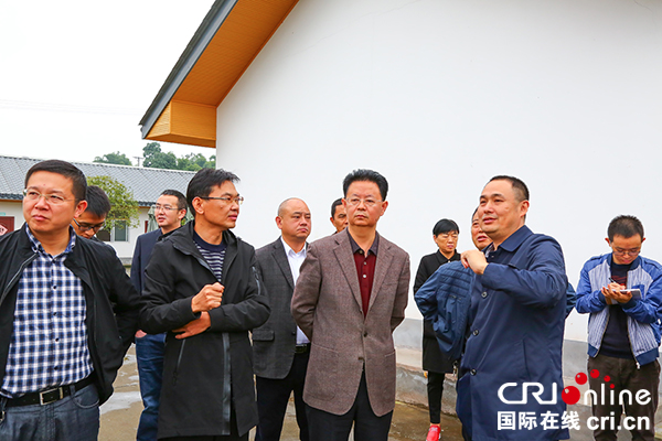 自贡市大安区委书记张昭国率队调研乡村振兴发展