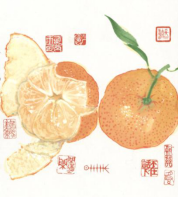 2018最后一个乌托邦!大家一起上岛看日出日落! 2018最后一个乌托邦!大家一起上岛看日出日落!