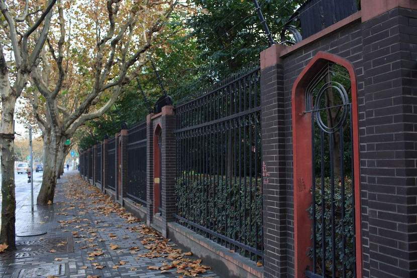 图片默认标题_fororder_上海梧桐4