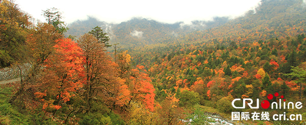 图片默认标题_fororder_喇叭河风光（摄影：余乐）