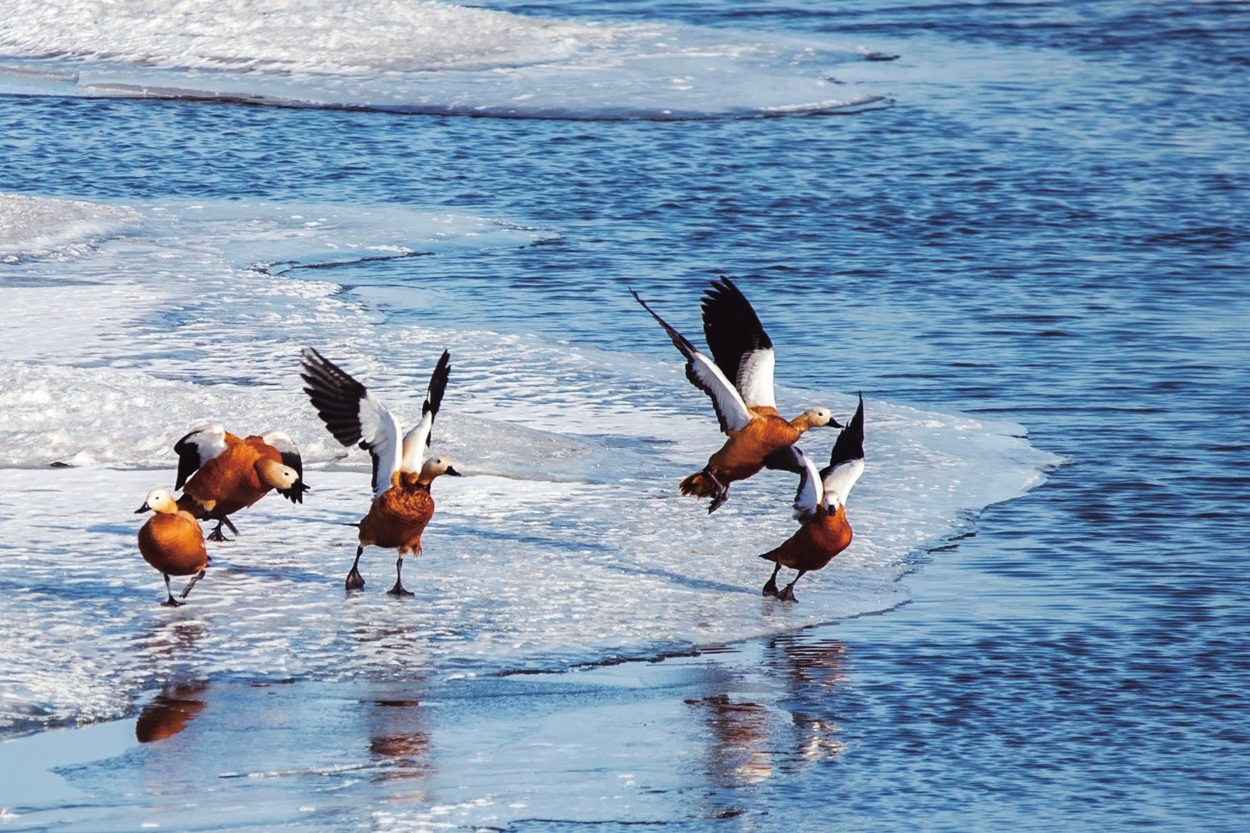 白山市上下联动 全面推行河长制 白山市上下联动 全面推行河长制
