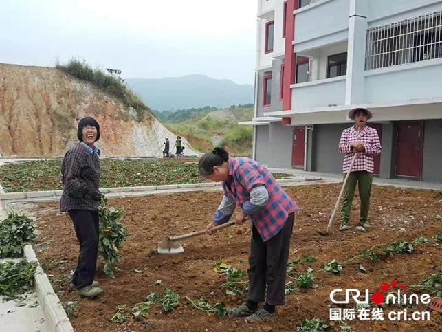 【唐已审】【供稿】南宁市上林县:微田园里搬迁群众种菜忙 【唐已审】【供稿】南宁市上林县:微田园里搬迁群众种菜忙