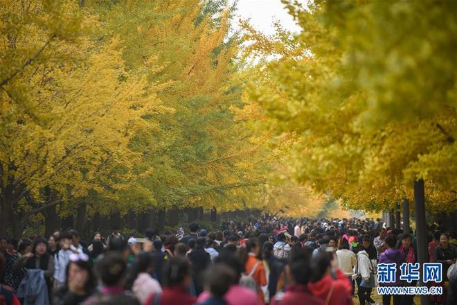 图片默认标题_fororder___172.100.100.3_temp_9500020_1_9500020_1_1_c56b3469-53da-4395-8eba-d98ee72d6c43