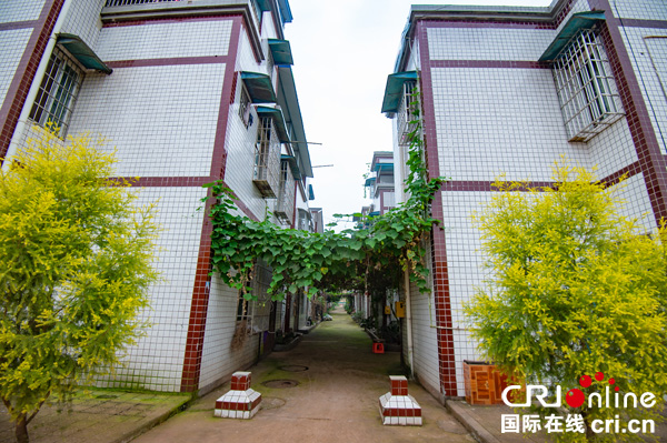 图片默认标题_fororder_2度佳镇杨佳移民集中安置点（摄影-廖志全）