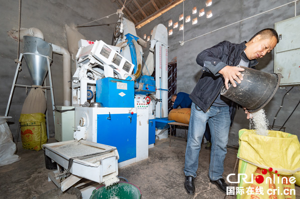 图片默认标题_fororder_3李光荣开办的大米加工厂（摄影-廖志全）