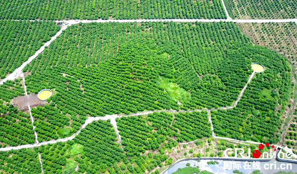 图片默认标题_fororder_华蓥产村相融扮靓新农村[5]