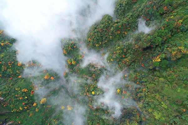 图片默认标题_fororder_峨眉秋色