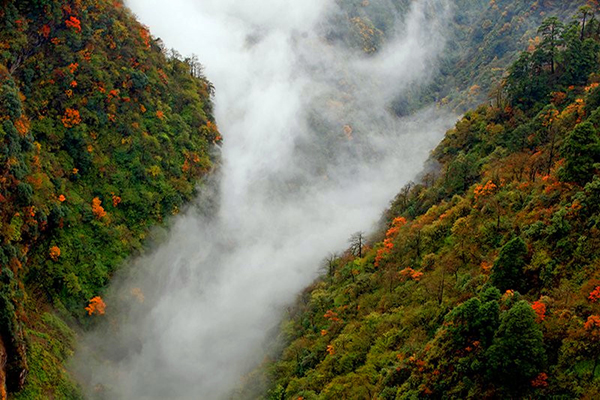 秋冬交替之际峨眉山秋色展独特韵味