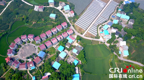 图片默认标题_fororder_打开产业致富之门的“金钥匙”-(2)