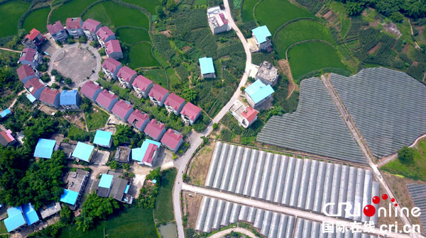 图片默认标题_fororder_打开产业致富之门的“金钥匙”-(3)