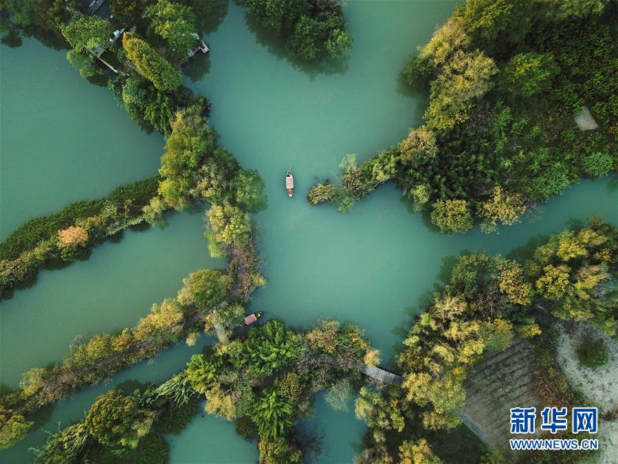 杭州:西溪秋色 杭州:西溪秋色