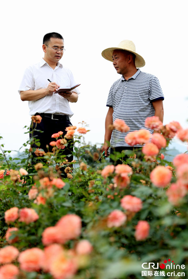 图片默认标题_fororder_绩效考核村级纪检小组长[3]