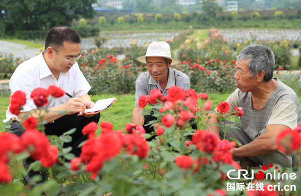图片默认标题_fororder_绩效考核村级纪检小组长[2]