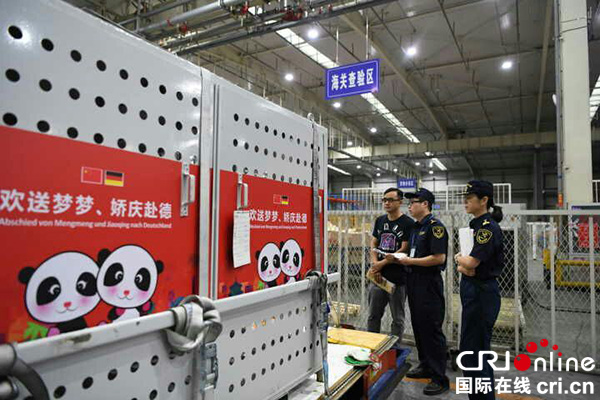 图片默认标题_fororder_海关人员正在验放情侣大熊猫。成都海关-供图