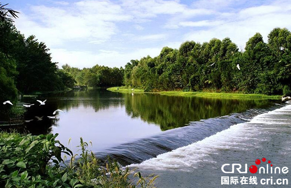 图片默认标题_fororder_1