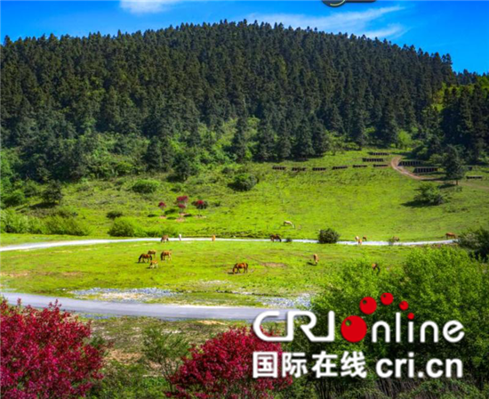 已过审【CRI专稿列表】武隆全域旅游提档升级 走绿色发展之路