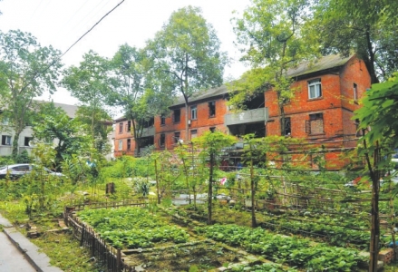 图片默认标题_fororder_m_6027734a9a84a6a0b42473b9cae701a8