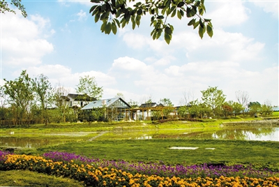 图片默认标题_fororder_res13_attpic_brief