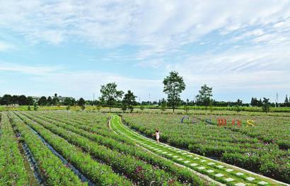 图片默认标题_fororder_m_c9eadcd7dee21c18f1ffae761dc2f667