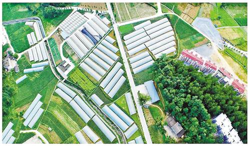 【能源环保图文】精准推进重大项目建设 打造生态工业经济强区