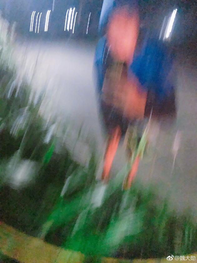 放飞自我魏大勋挥汗健身模糊自拍引网友吐槽