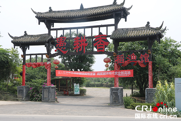 图片默认标题_fororder_邛崃市牟礼镇开元村通过稻田综合种养增收致富（邛崃市宣传部-供图）